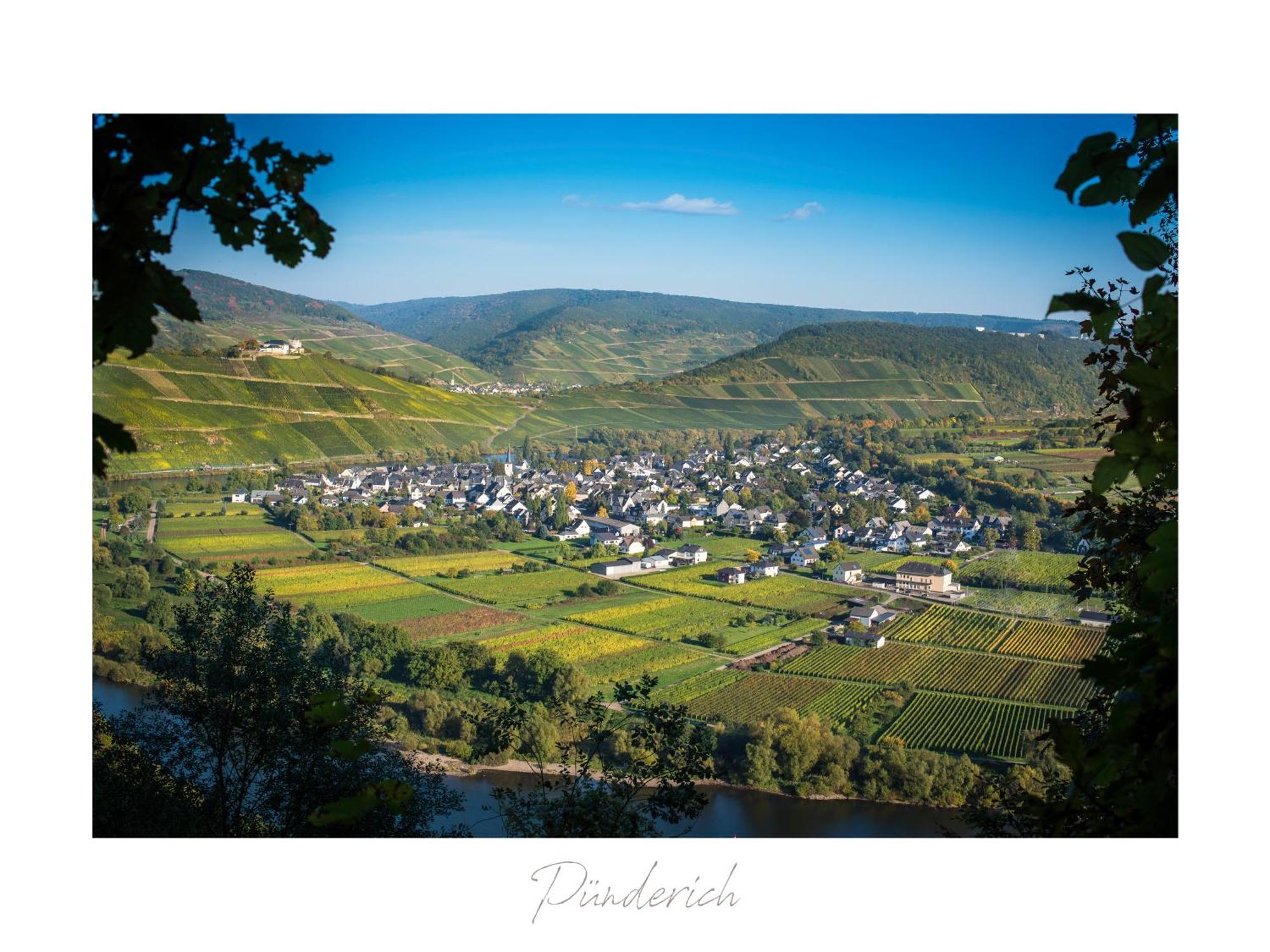 شقة Ferienweingut Luetz Pünderich المظهر الخارجي الصورة