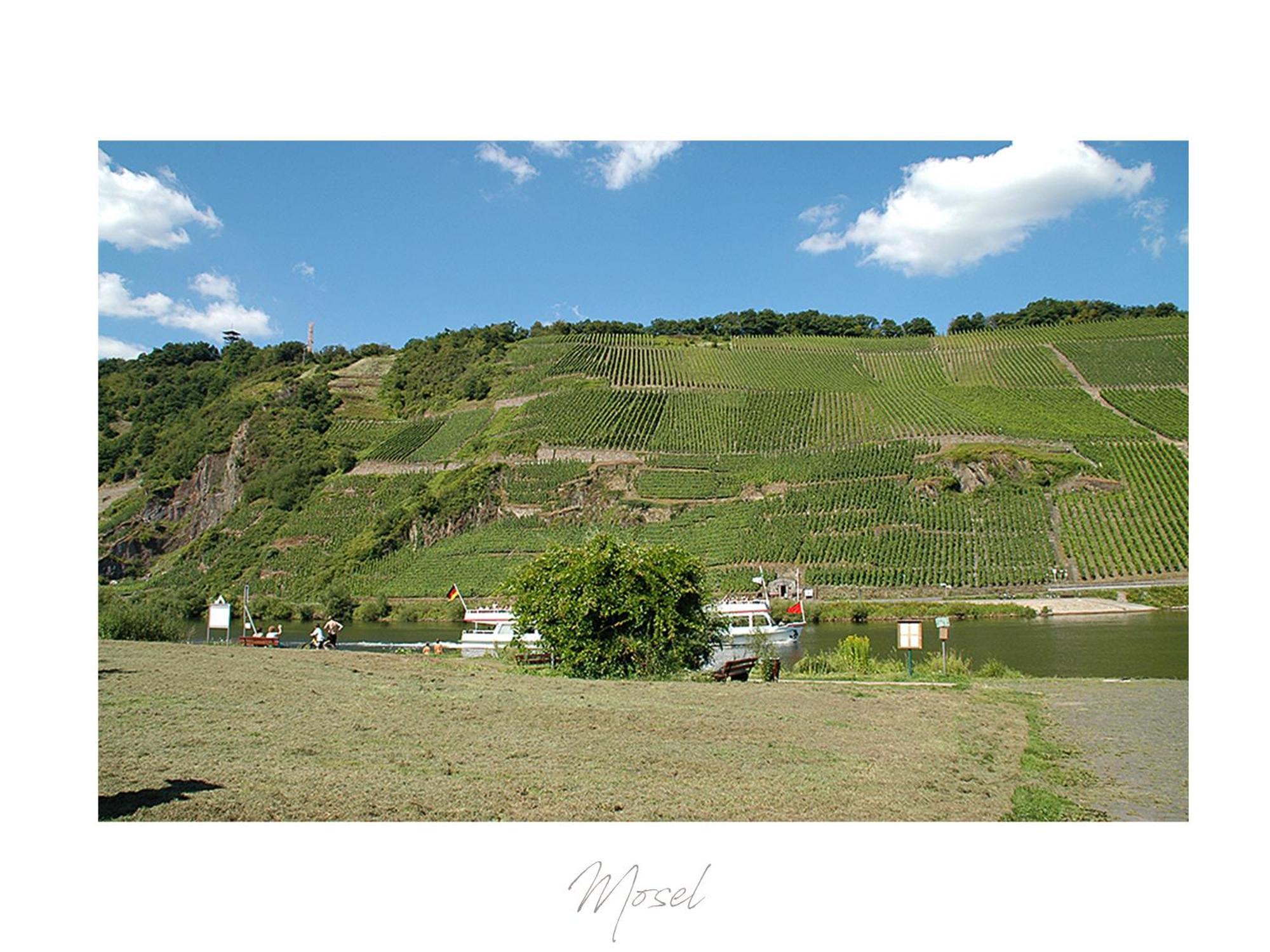 شقة Ferienweingut Luetz Pünderich المظهر الخارجي الصورة